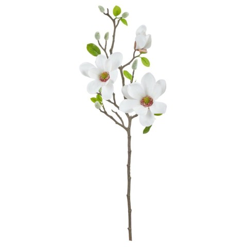 TRALCIO MAGNOLIE WHITE H75